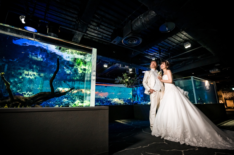 【チッタ ウェディング】カワスイ 川崎水族館フォト