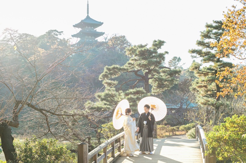 全貌が見渡せるスポット