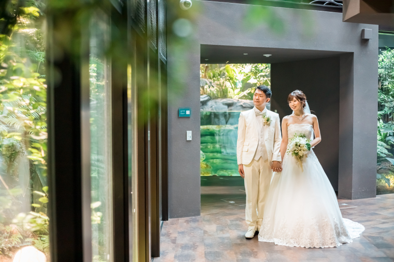 生きものたちの楽園アマゾンゾーン