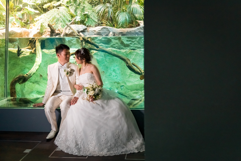 水辺の生きものと過ごす幸せな時間。