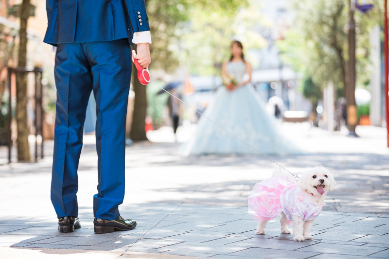 FLARE横浜元町本店_ペットと一緒に撮影できる