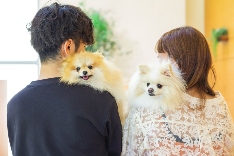 FLARE横浜元町本店_ペットと一緒に撮影できる