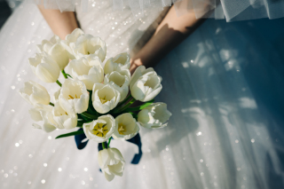 全データレタッチ