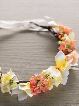 花冠(ﾌﾟﾙﾒﾘｱ)