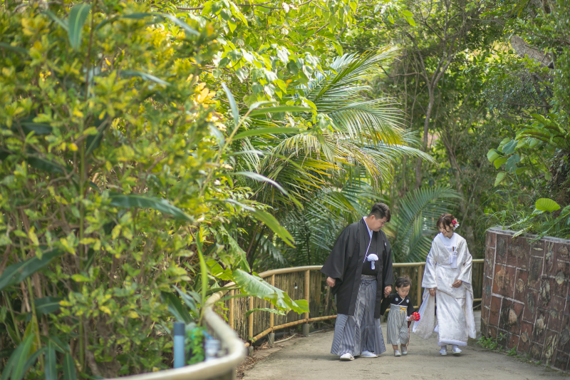 緑の中でのショット