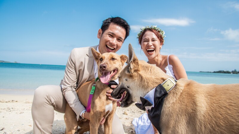 小さな結婚式 沖縄イル・ド・レ店