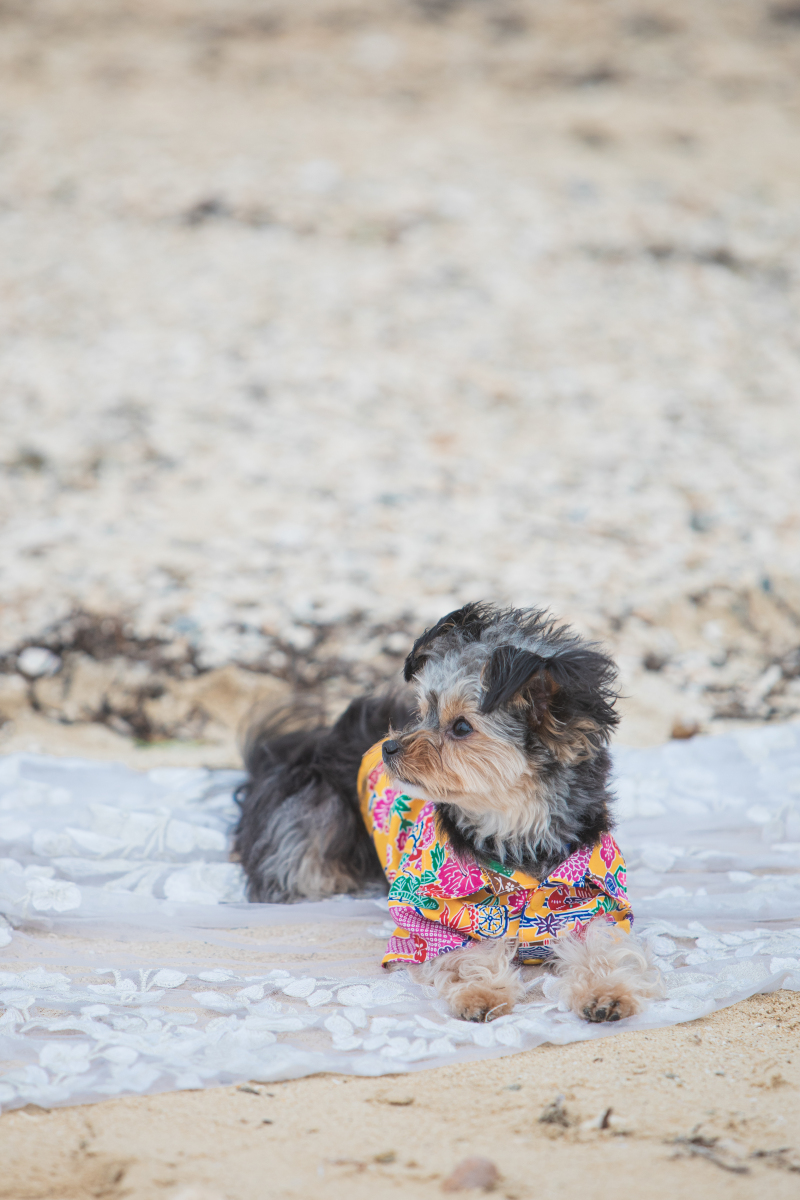 小物・グッズ持込OK！自由にアレンジ