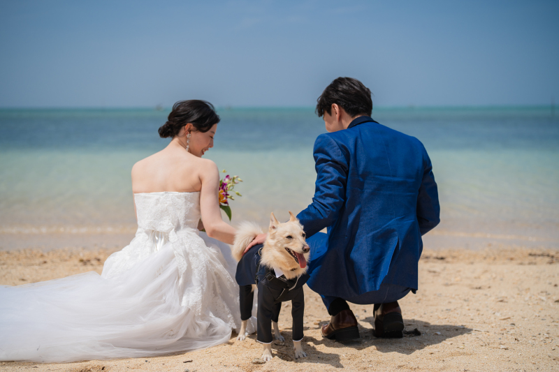 ペット同伴OKです！！