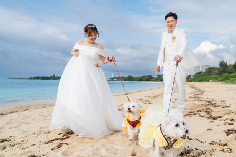 小さな結婚式 沖縄イル・ド・レ店_ペットと一緒に撮影できる