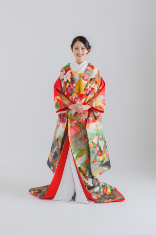 色彩松鶴