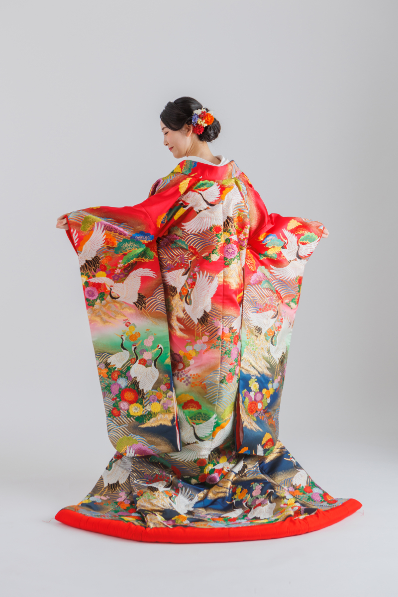 色彩松鶴