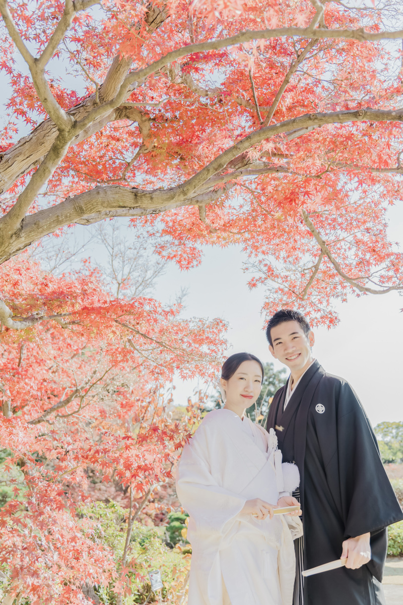 これからのご予約は紅葉シーズンがおすすめ!
