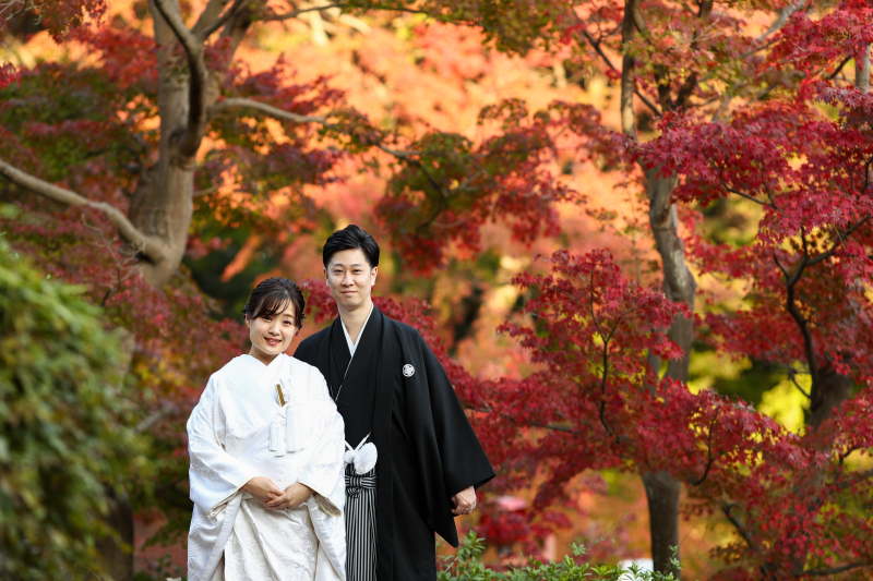 紅く染まる。