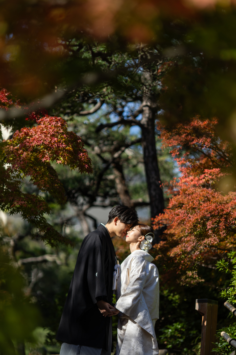紅葉撮影のご予約は今がチャンス!