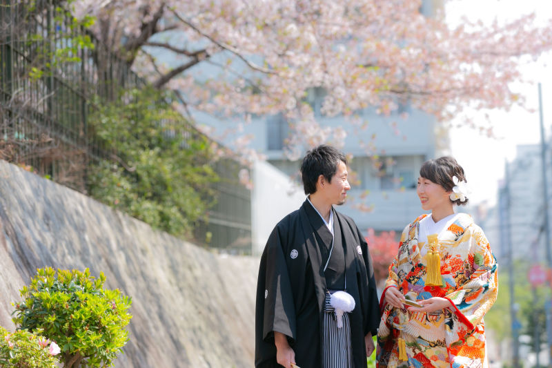 桜舞う空