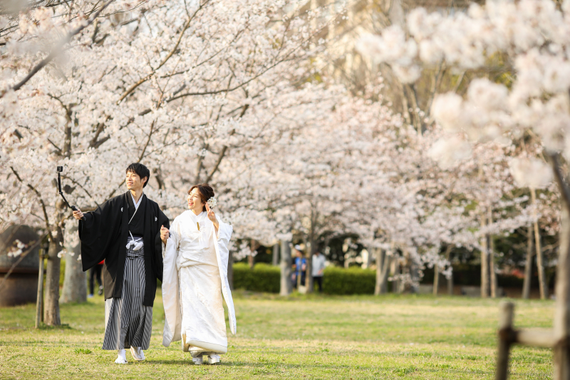 桜が満開
