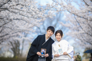 青空とさくらが光♪神戸和婚フォト