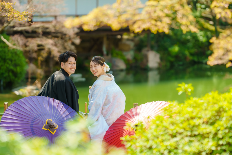 光に透ける緑、静寂に包まれる和庭園