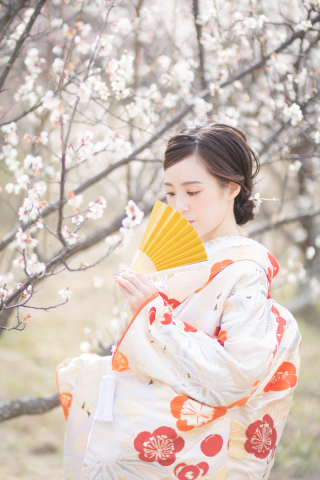 スタジオゼロ神戸店_梅の花<和装>