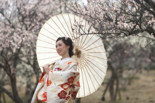スタジオゼロ神戸店_梅の花<和装>