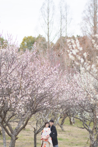 スタジオゼロ神戸店_梅の花<和装>