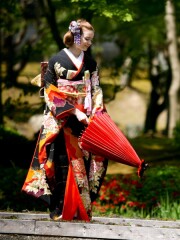 3038 黒地 雲取り牡丹