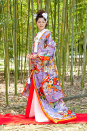 紫八重重ね華扇面　A0008