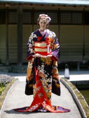 3046 吉祥彩 鶴の舞