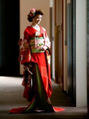 3049 朱地金振り四季の花かご