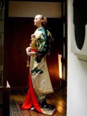 3052 琳派常磐の松