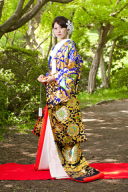 ブルーぼかし金襴　A0028