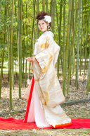 ゴールド地鶴　A1053