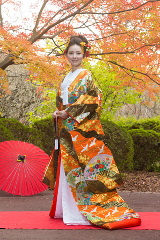 赤黒染分け 扇面草花　A0059