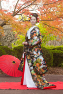 黒地 流水 春秋花　A0048