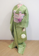 掛下015 紗綾型 若竹