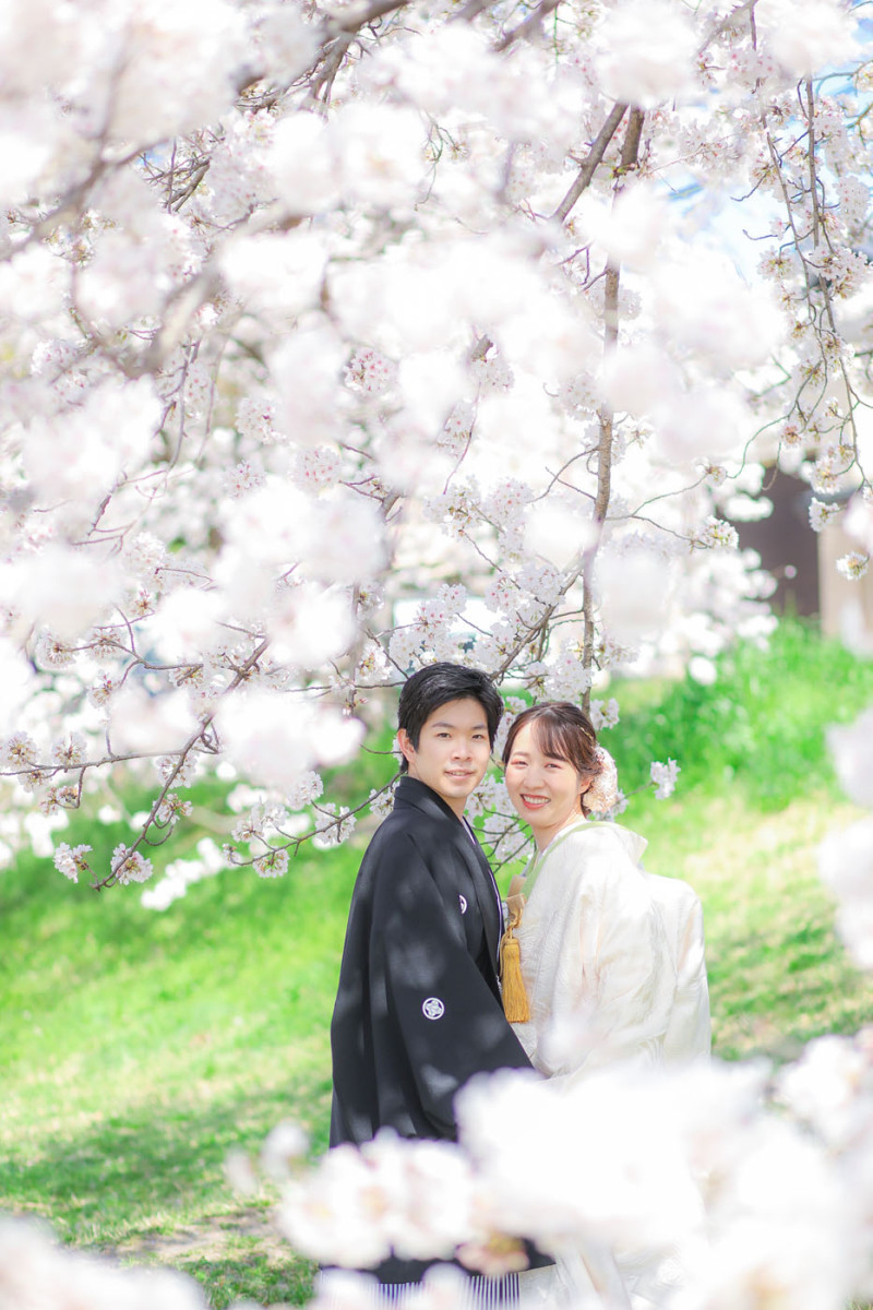 満開のさくらにつつまれて