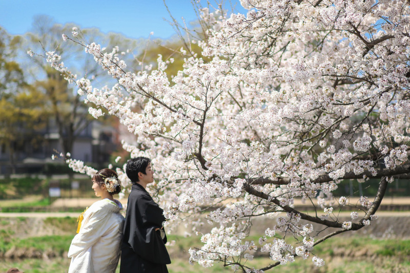 ゆったりと流れる鴨川