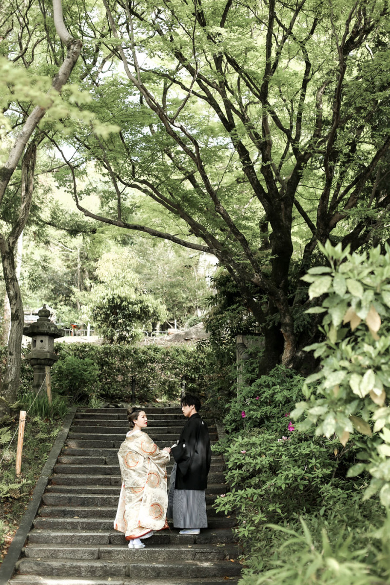 公園内にはたくさんの木々