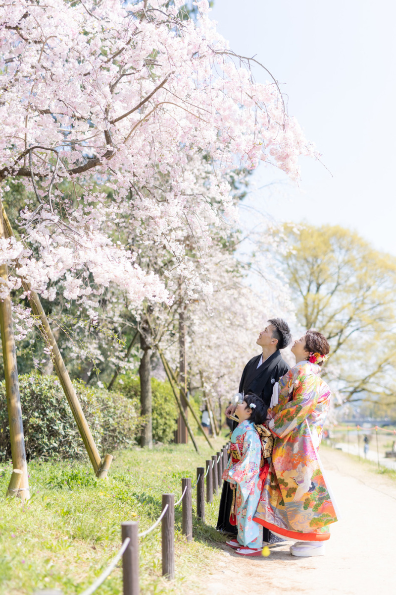みんなで見上げる桜