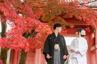 真っ赤な紅葉、京都・真如堂