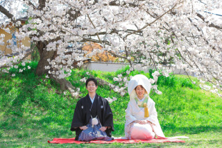 春の鴨川・桜満開♪