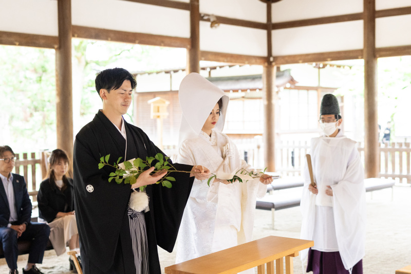 白無垢×綿帽子×日本髪