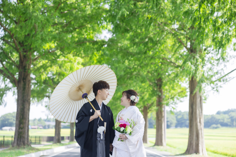 滋賀「神社と自然をめぐる一日」