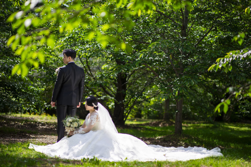 自然とともに輝く、特別な1ページ
