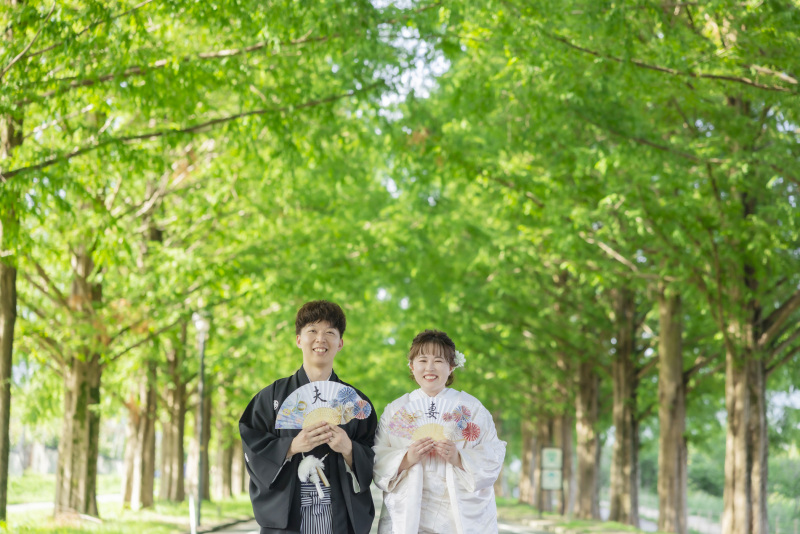 メタセコイア並木