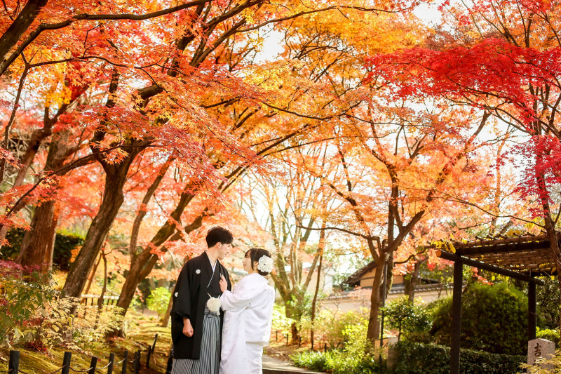 赤・黄・橙のグラデーション