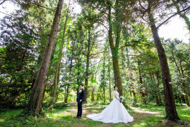 緑に映えるウェディングドレス