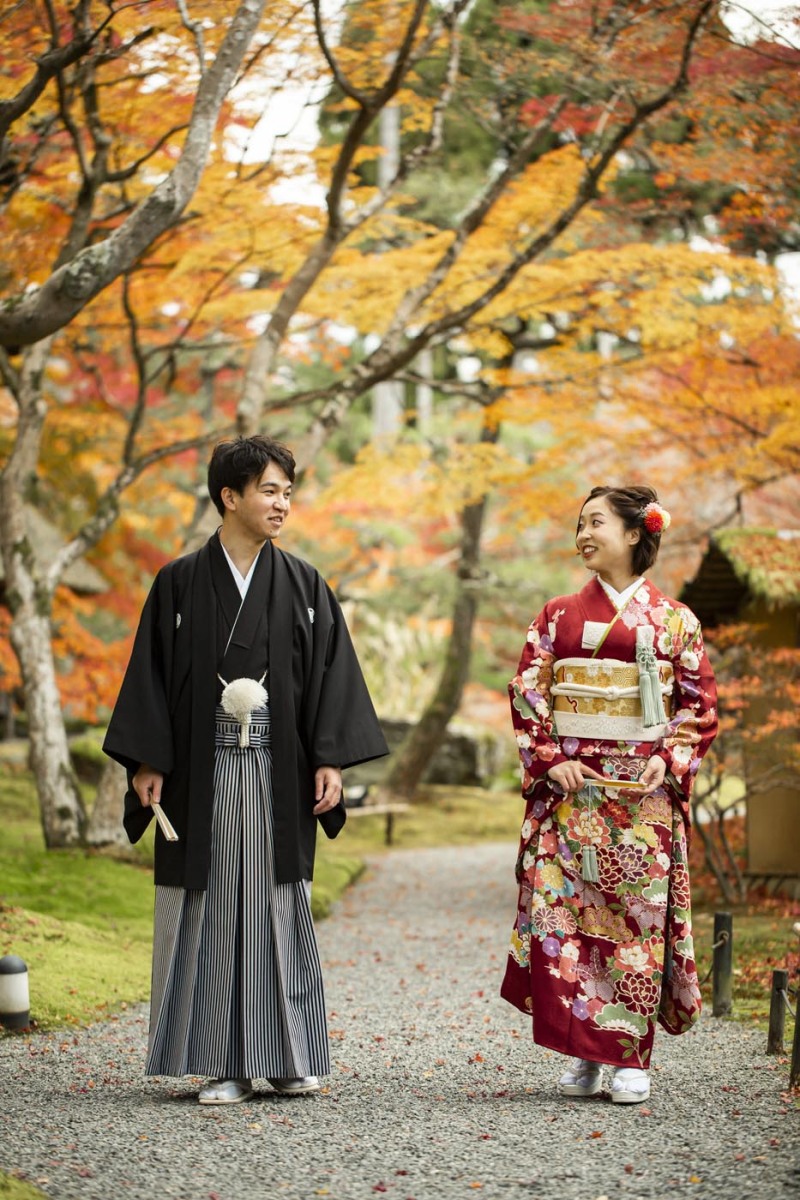 黒紋付とお振袖