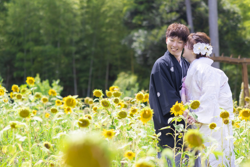 ひまわりに囲まれて