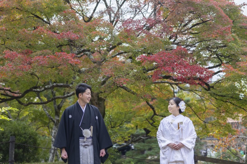 紅葉が色づきはじめた円山公園